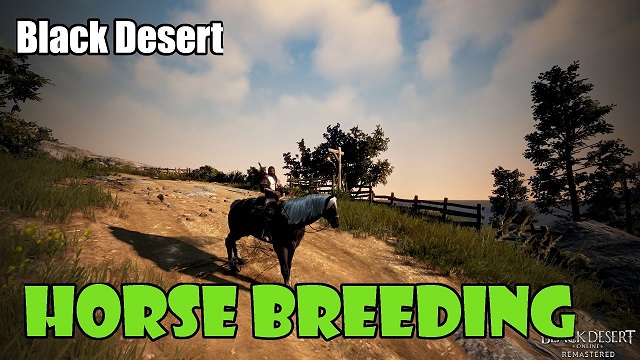 Horse Breeding